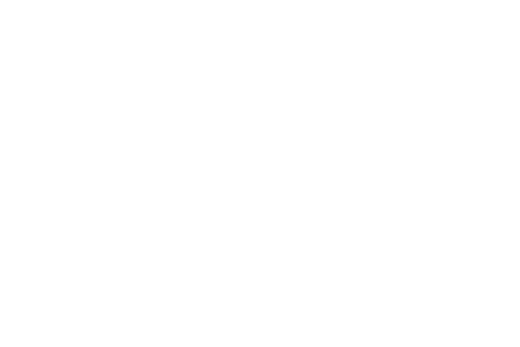 G4L logo white 01